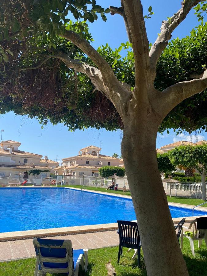 Greensuites La Zenia Torrevieja Playa Flamenca Exteriér fotografie